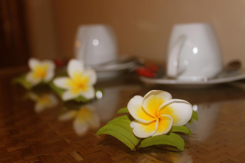 Hotel Chonos ロヴィーナ エクステリア 写真
