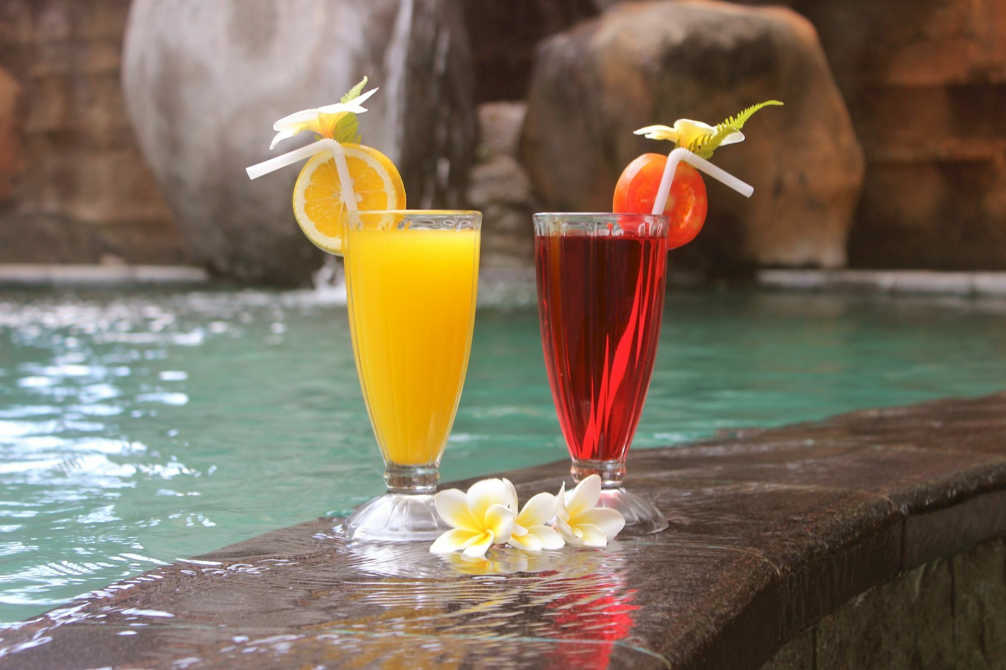 Hotel Chonos ロヴィーナ エクステリア 写真